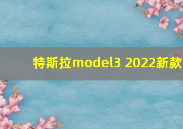 特斯拉model3 2022新款